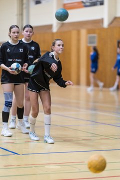 Bild 173 - wBJ TSV Ellerau - HSG Stoertal Hummeln : Ergebnis: 26:19
